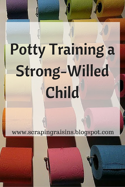 What we did and how it went when we attempted to potty train my strong-willed son.